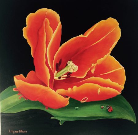 Tulp van Oranje